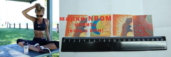 прущие грибы Алексеевка
