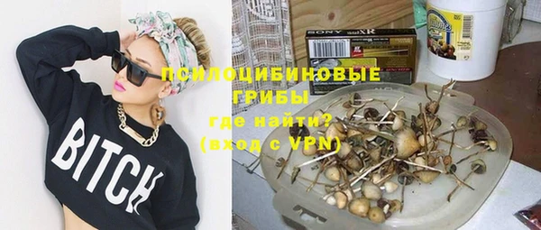 СК Абдулино