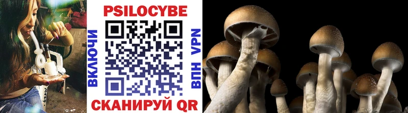 mega   Петров Вал  Галлюциногенные грибы MAGIC MUSHROOMS 